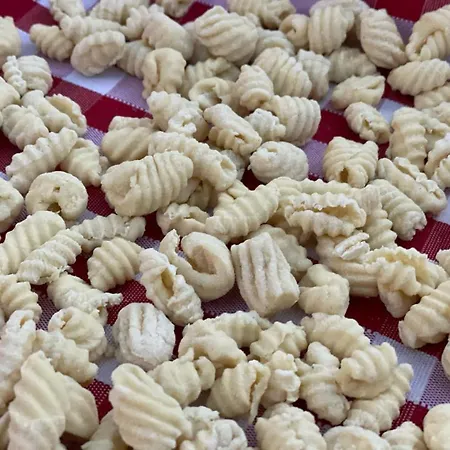 La Biada Farm stay *